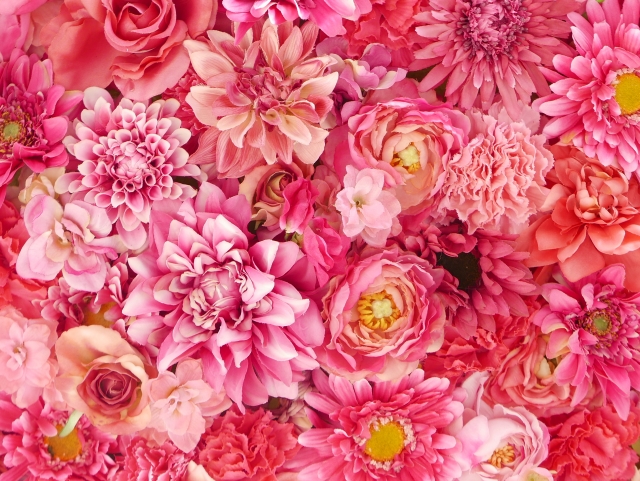 鮮やかなガーベラの花