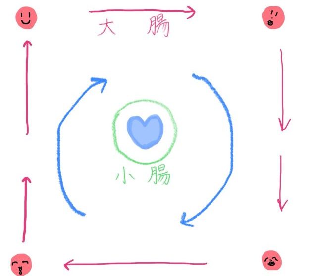 腸もみ手順