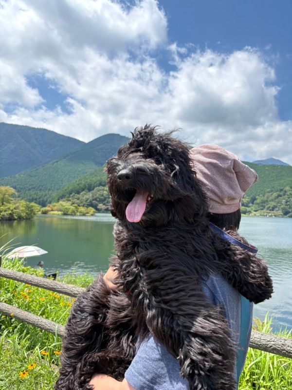 田貫湖を眺めるご主人とオリス