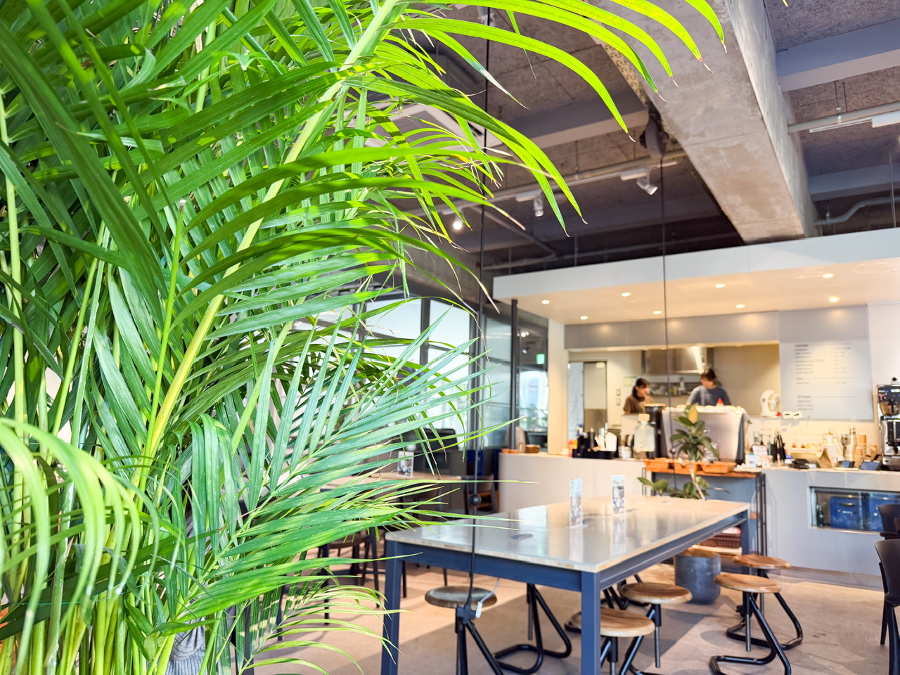 コンクリートとグリーンが調和したHATTO COFFEEの店内