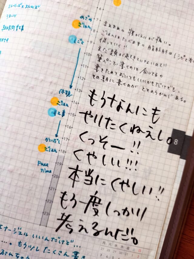 その日の出来事や素直な気持ちを書き残した手帳